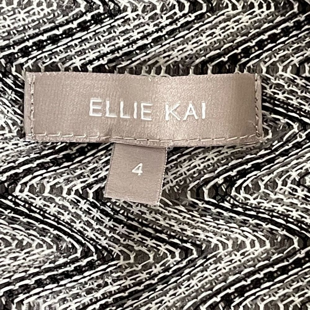 Ellie Kai Chevron Stripe Dress - Picture 4 of 6